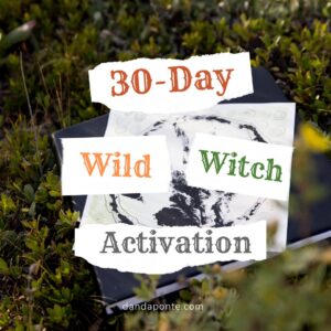 30-Day Wild Witch Activation