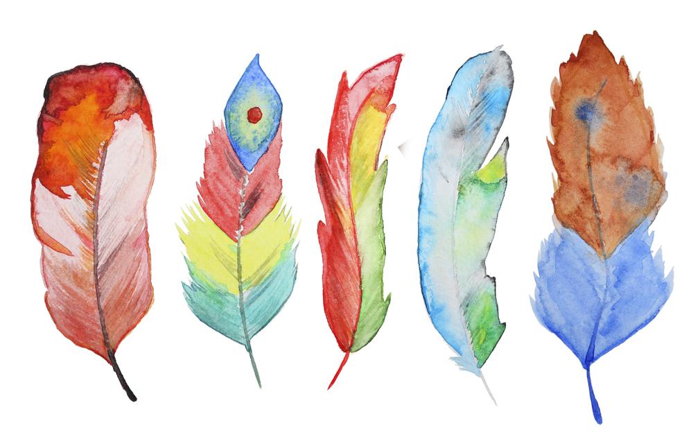 Set of watercolor feathers. A set of four color watercolor feathers