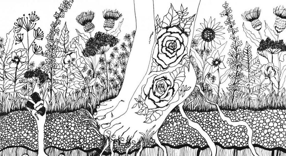 February full moon 2020