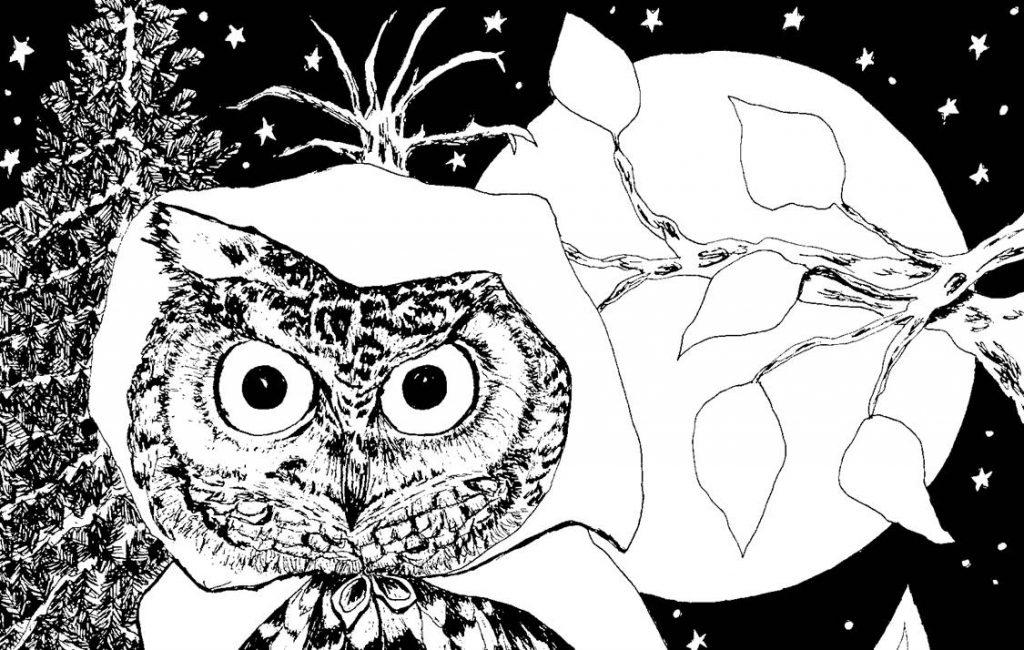 February full moon 2021