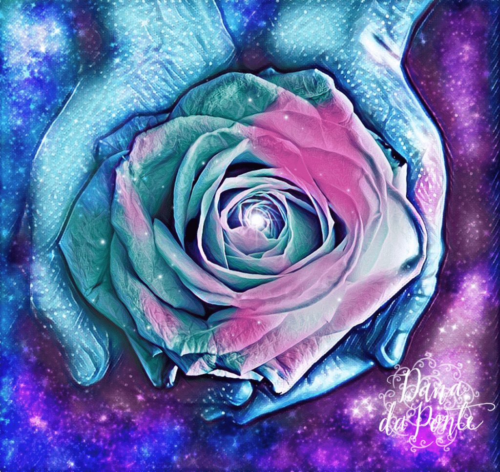 Rose 6 with watermark