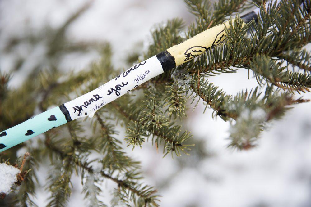 Beginner's Guide to Animal Magic