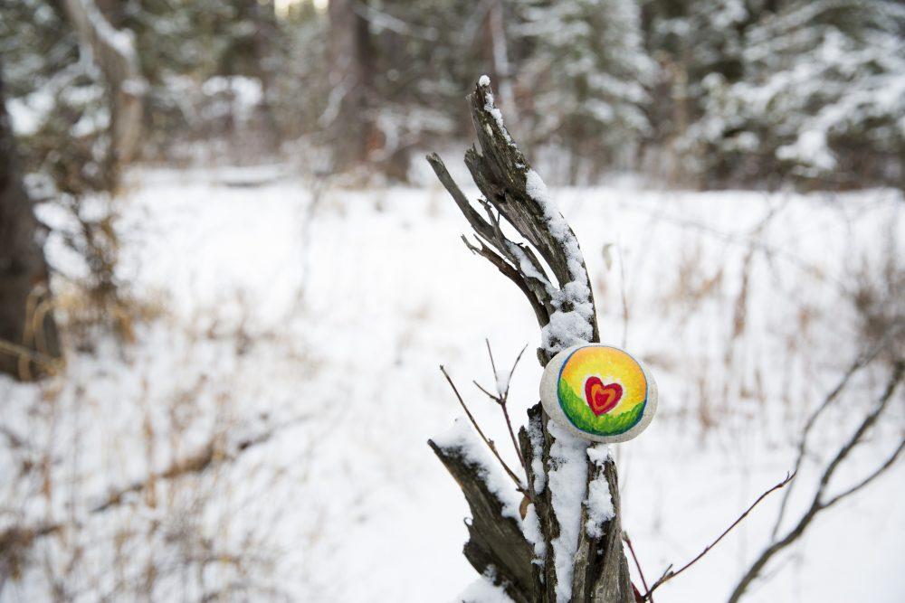 Beginner's Guide to Animal Magic