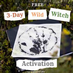 Free 3-Day Wild Witch Activation