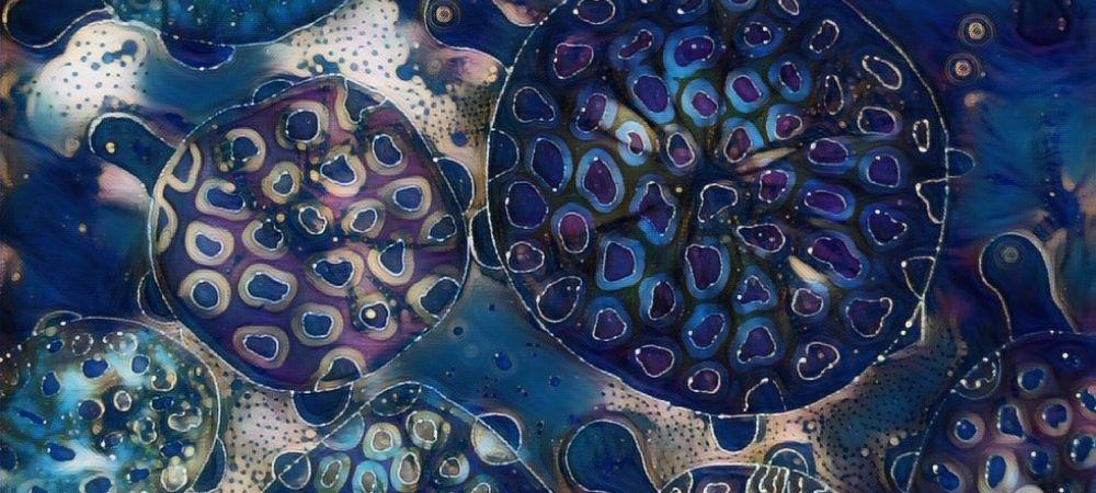 How to Achieve Your Goals When You're a Highly Sensitive Person